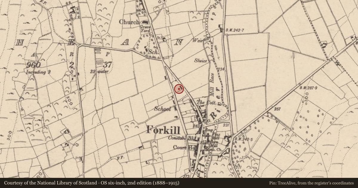 Ordnance Survey six-inch map, 2nd edition (1888–1915) covering the location of North of 1-4 Main Street, Shean, Newry, Mourne and Down, with a pin at the register's coordinates