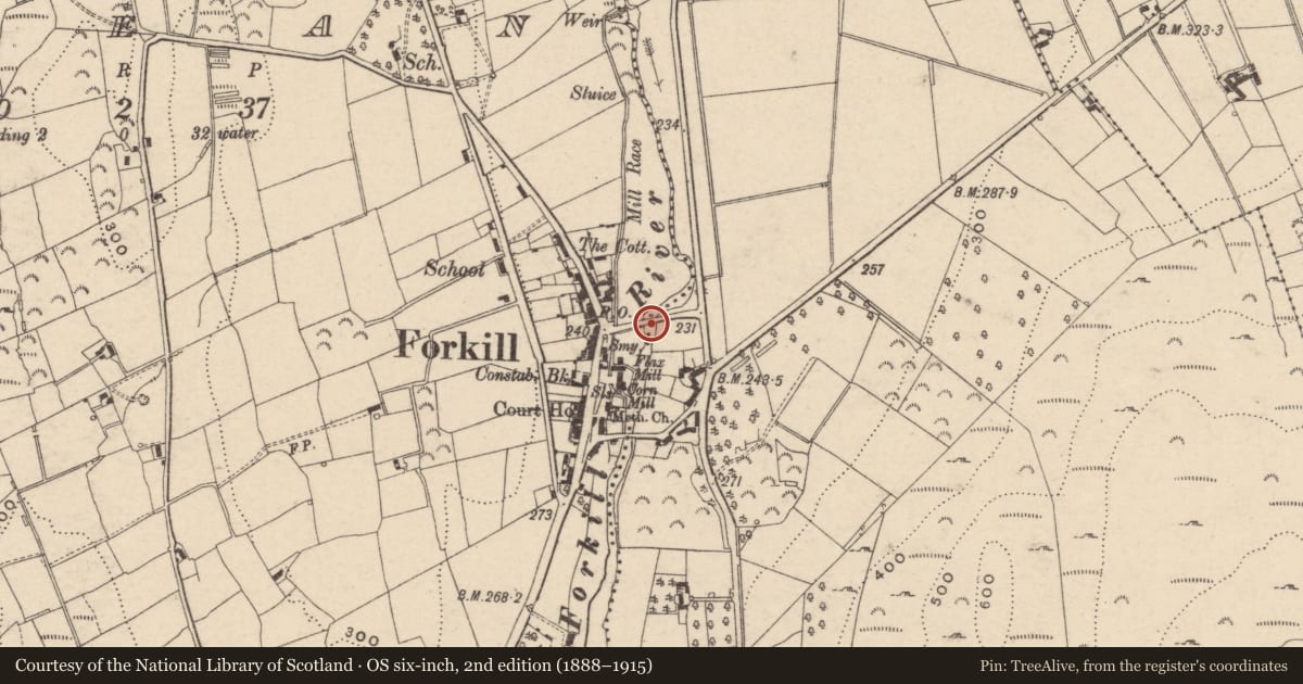 Ordnance Survey six-inch map, 2nd edition (1888–1915) covering the location of Bridge over Forkhill River, Shean/Carrickastickan, Newry, Mourne and Down, with a pin at the register's coordinates