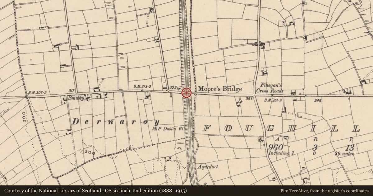 Ordnance Survey six-inch map, 2nd edition (1888–1915) covering the location of Moore's Bridge, Foughill Otra, Newry, Mourne and Down, with a pin at the register's coordinates