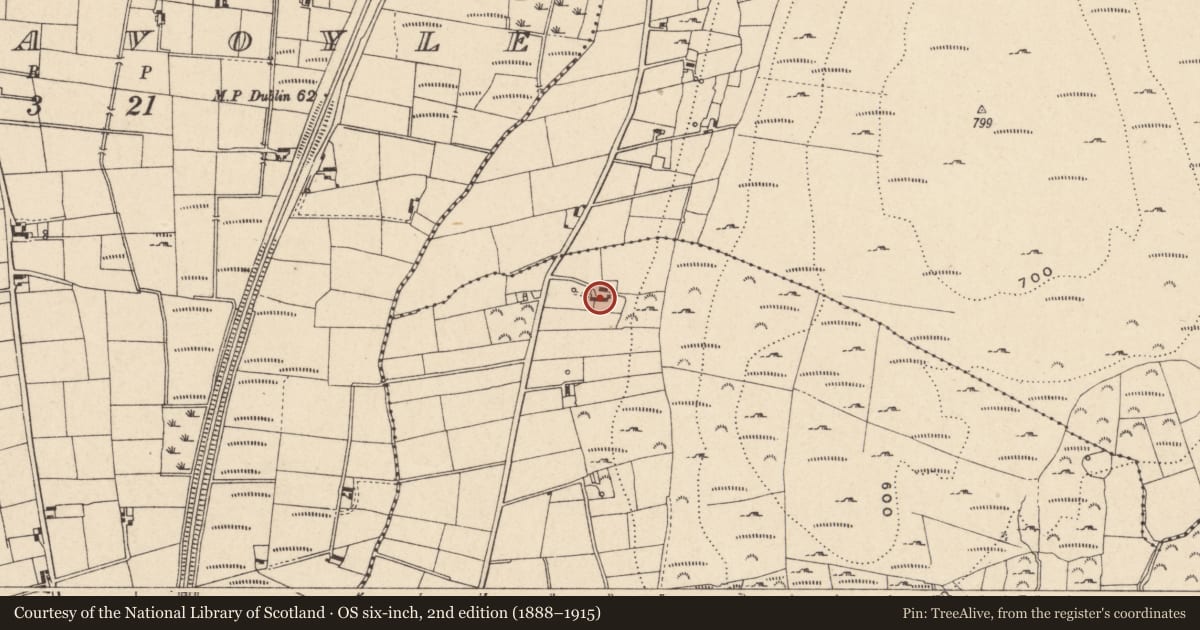 Ordnance Survey six-inch map, 2nd edition (1888–1915) covering the location of 19 Foughilletra Road, Foughill Otra, Newry, Mourne and Down, with a pin at the register's coordinates
