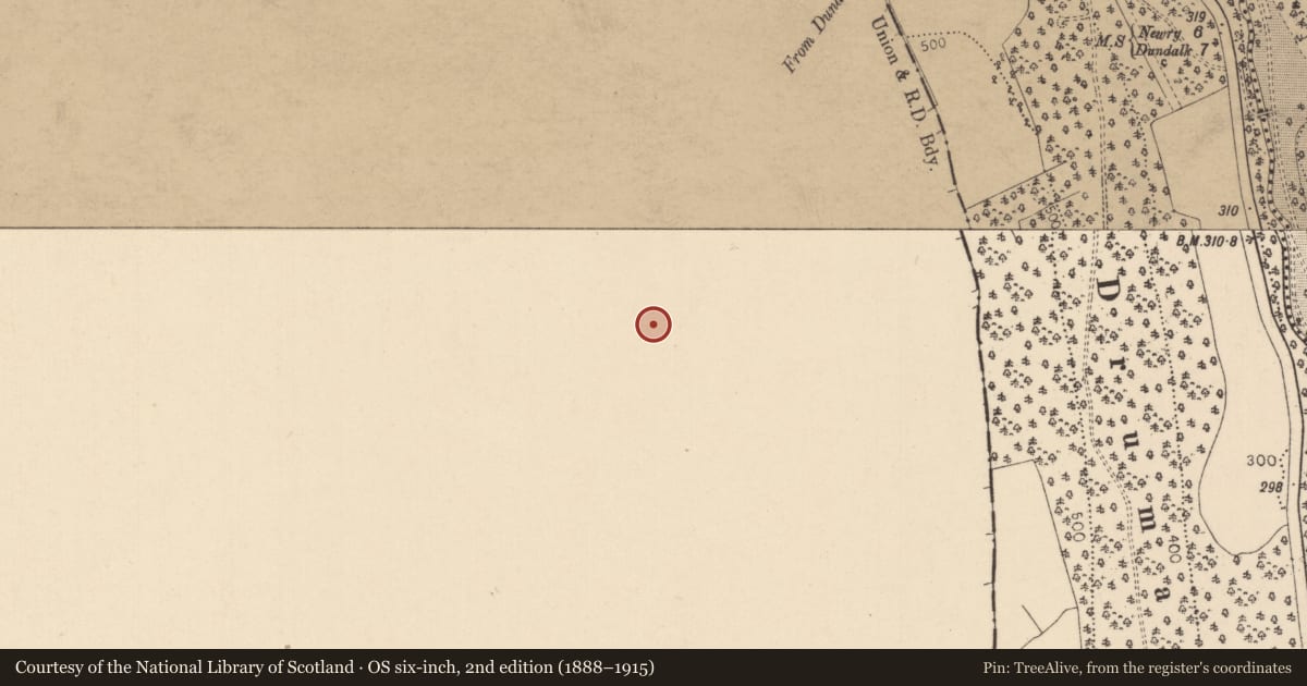 Ordnance Survey six-inch map, 2nd edition (1888–1915) covering the location of Jonesborough Primary School, Edenappa, Newry, Mourne and Down, with a pin at the register's coordinates