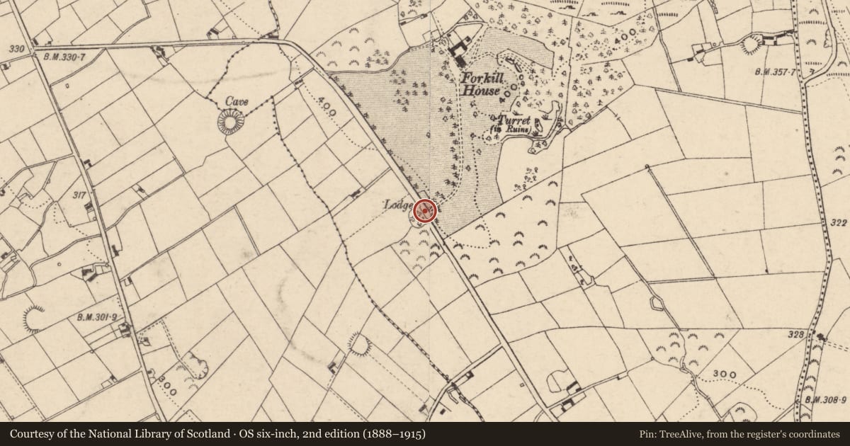 Ordnance Survey six-inch map, 2nd edition (1888–1915) covering the location of Gate Screen to Forkhill House, Tievecrom, Newry, Mourne and Down, with a pin at the register's coordinates