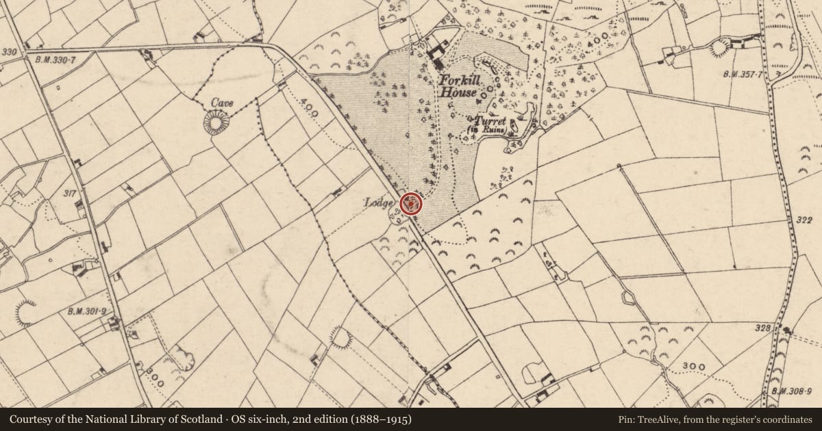 Ordnance Survey six-inch map, 2nd edition (1888–1915) covering the location of Gate Lodge to Forkhill House, Tievecrom, Newry, Mourne and Down, with a pin at the register's coordinates