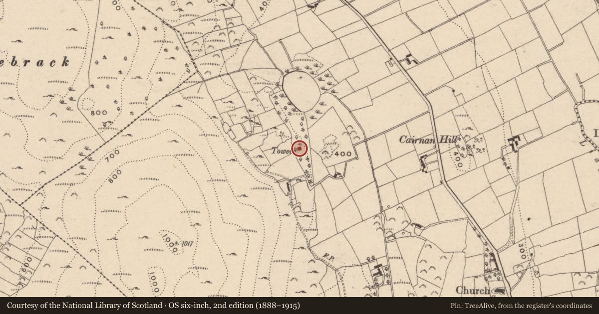 Ordnance Survey six-inch map, 2nd edition (1888–1915) covering the location of Belvedere, Shean, Newry, Mourne and Down, with a pin at the register's coordinates