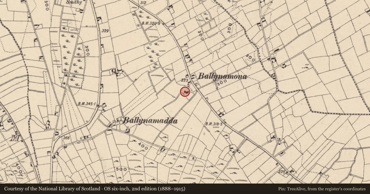 Ordnance Survey six-inch map, 2nd edition (1888–1915) covering the location of 41 Carrickbroad Road, Newry, Mourne and Down, with a pin at the register's coordinates