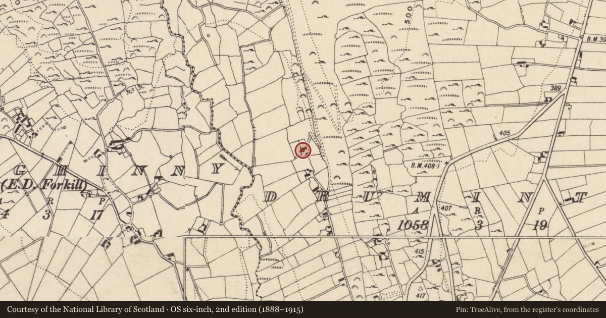 Ordnance Survey six-inch map, 2nd edition (1888–1915) covering the location of 30 Mountain Road, Drumintee, Newry, Mourne and Down, with a pin at the register's coordinates