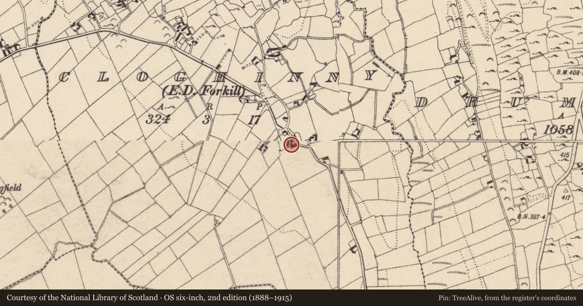 Ordnance Survey six-inch map, 2nd edition (1888–1915) covering the location of 12 Cloghinny Road, Newry, Mourne and Down, with a pin at the register's coordinates