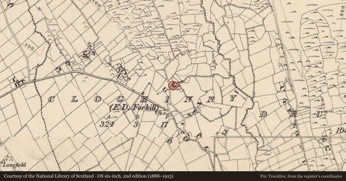 Ordnance Survey six-inch map, 2nd edition (1888–1915) covering the location of 17 Cloghinny Road, Newry, Mourne and Down, with a pin at the register's coordinates
