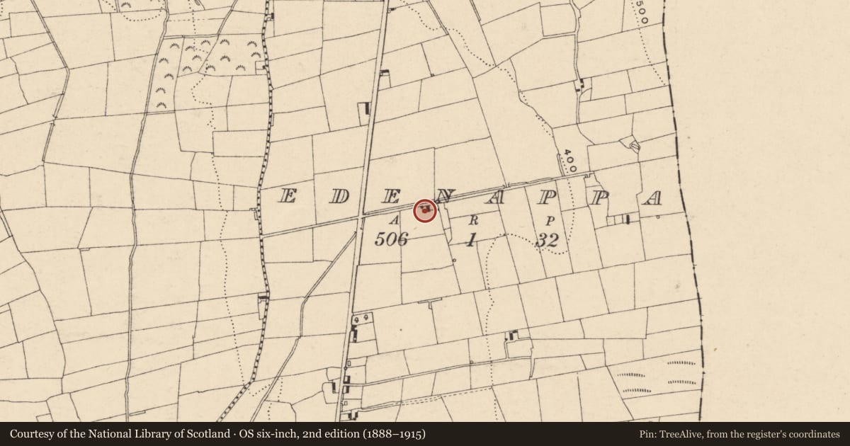 Ordnance Survey six-inch map, 2nd edition (1888–1915) covering the location of 24 Edenappa Road, Newry, Mourne and Down, with a pin at the register's coordinates