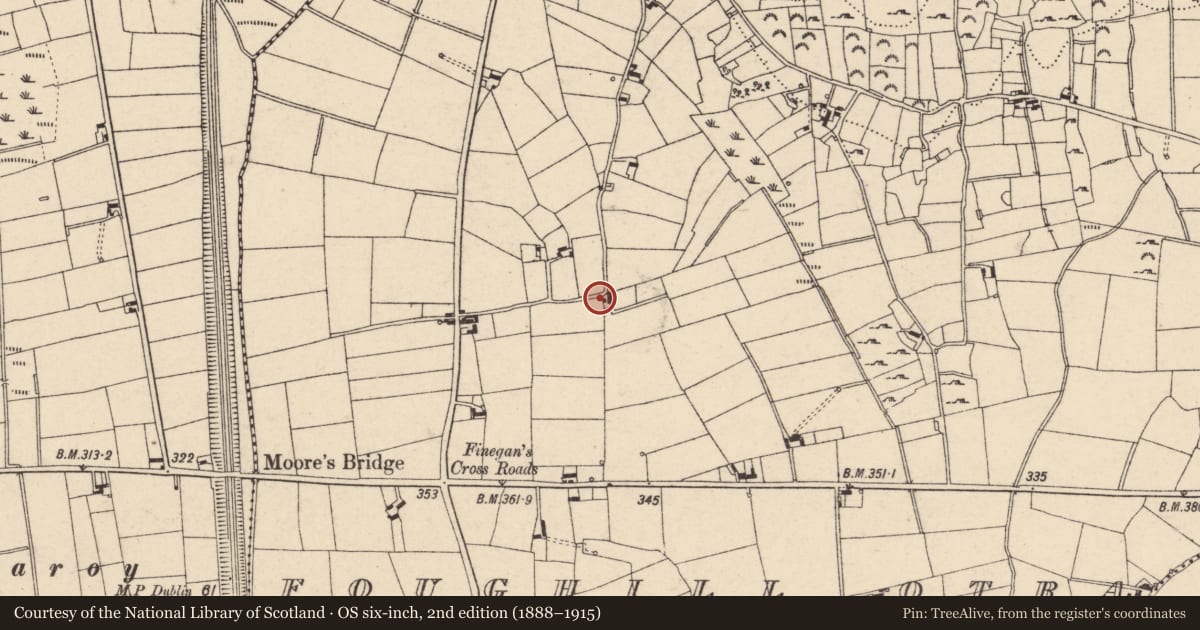 Ordnance Survey six-inch map, 2nd edition (1888–1915) covering the location of 11 Molly Road, Foughill Otra, Newry, Mourne and Down, with a pin at the register's coordinates