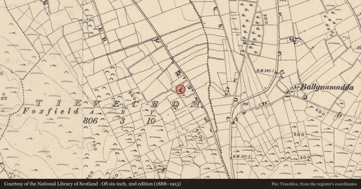 Ordnance Survey six-inch map, 2nd edition (1888–1915) covering the location of Dwelling and outbuildings, Tievecrom, Newry, Mourne and Down, with a pin at the register's coordinates