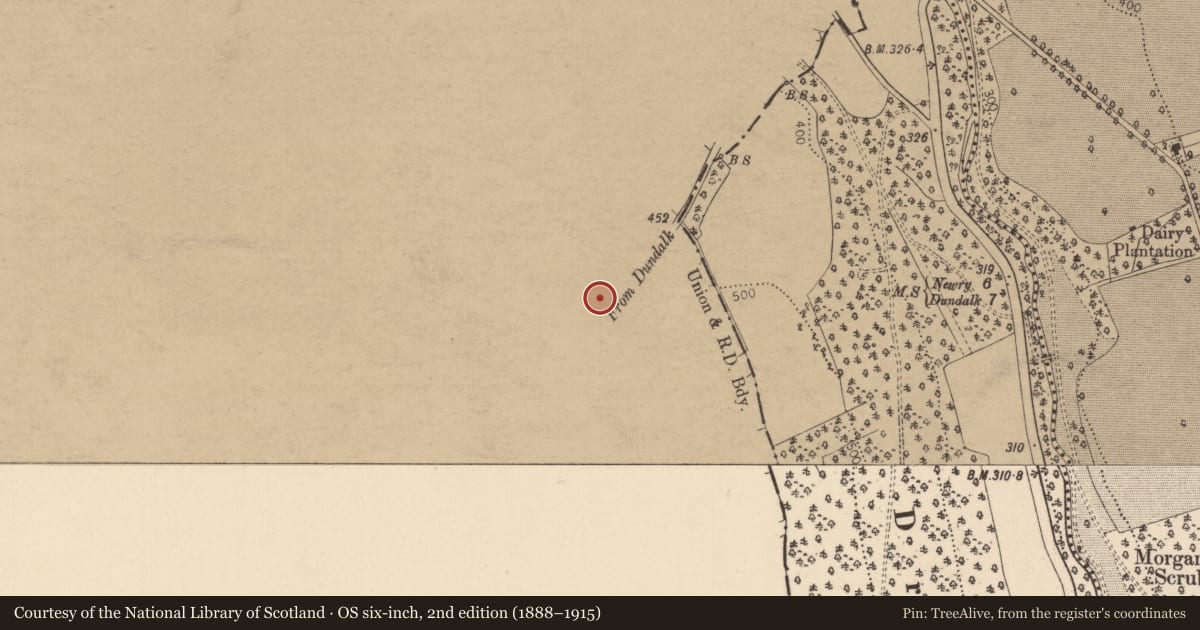 Ordnance Survey six-inch map, 2nd edition (1888–1915) covering the location of Mile post, Foughill Otra, Newry, Mourne and Down, with a pin at the register's coordinates