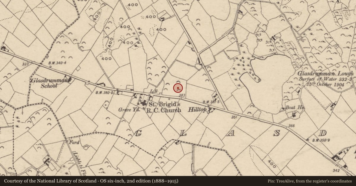 Ordnance Survey six-inch map, 2nd edition (1888–1915) covering the location of St. Brigid'S R C CHURCH, Newry, Mourne and Down, with a pin at the register's coordinates