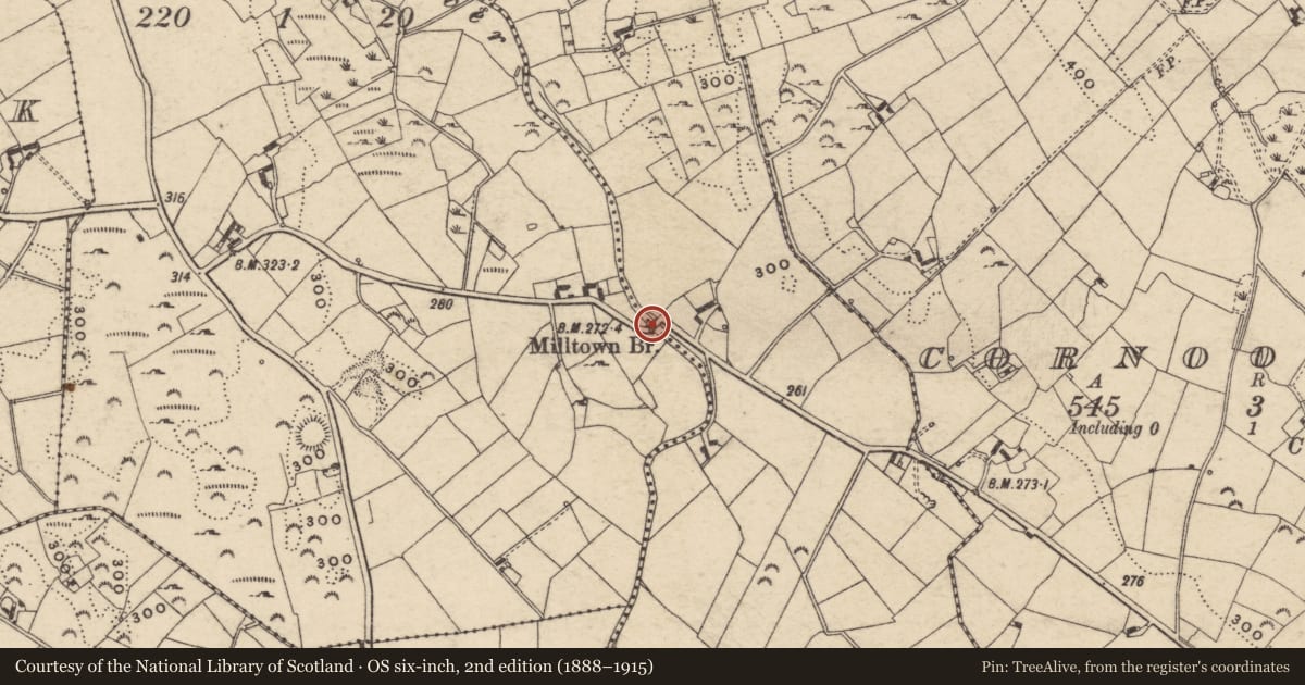 Ordnance Survey six-inch map, 2nd edition (1888–1915) covering the location of Milltown Bridge, Newry, Mourne and Down, with a pin at the register's coordinates