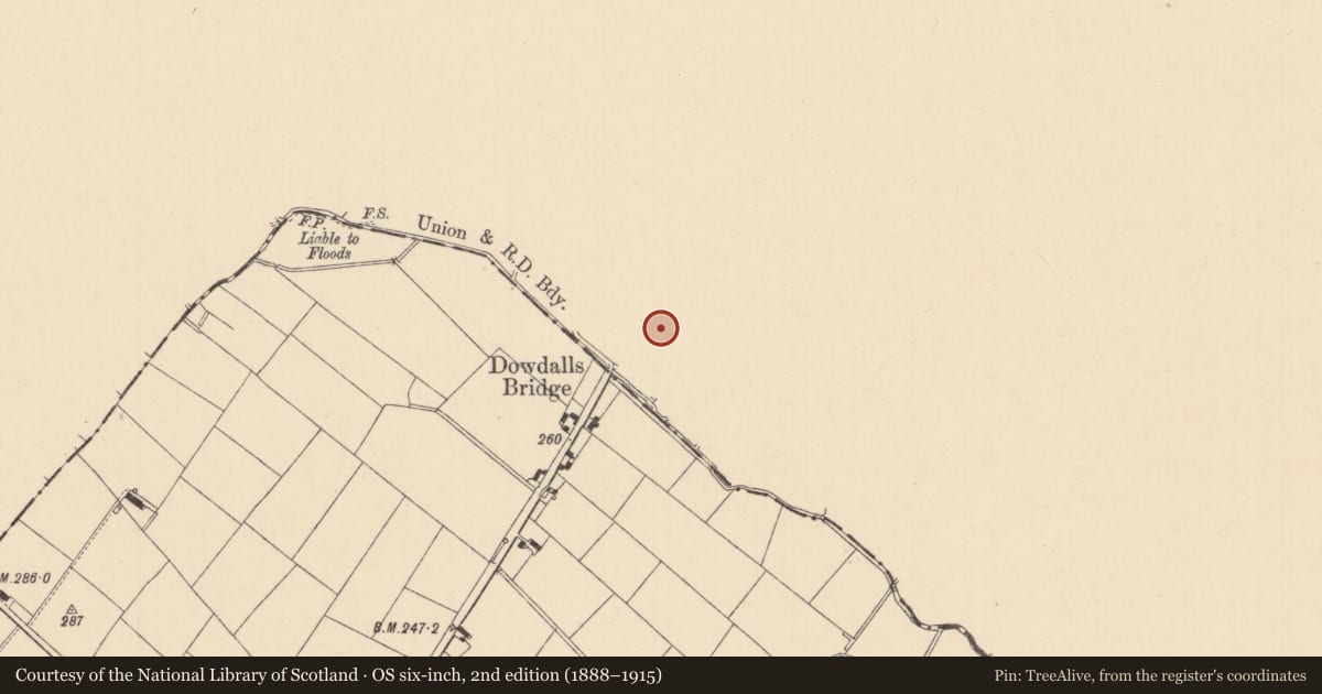 Ordnance Survey six-inch map, 2nd edition (1888–1915) covering the location of Mounthill House, Newry, Mourne and Down, with a pin at the register's coordinates