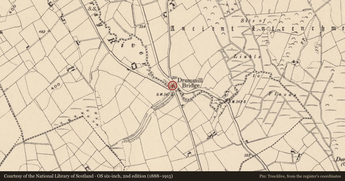 Ordnance Survey six-inch map, 2nd edition (1888–1915) covering the location of Drummill Bridge, Newry, Mourne and Down, with a pin at the register's coordinates