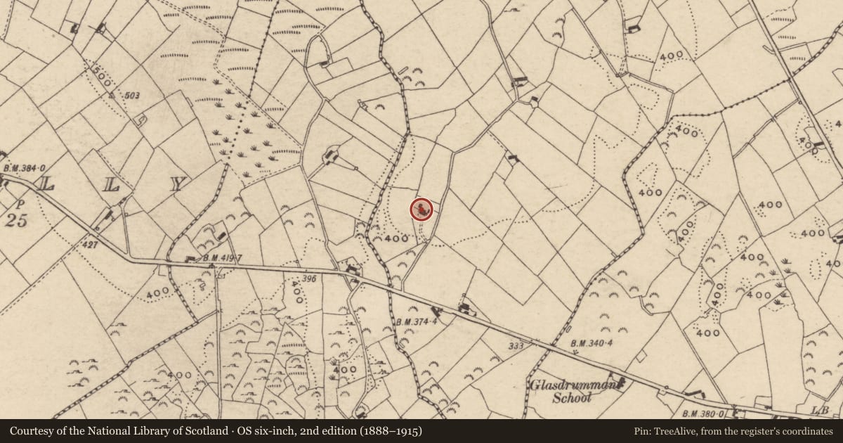 Ordnance Survey six-inch map, 2nd edition (1888–1915) covering the location of The Alts, Newry, Mourne and Down, with a pin at the register's coordinates