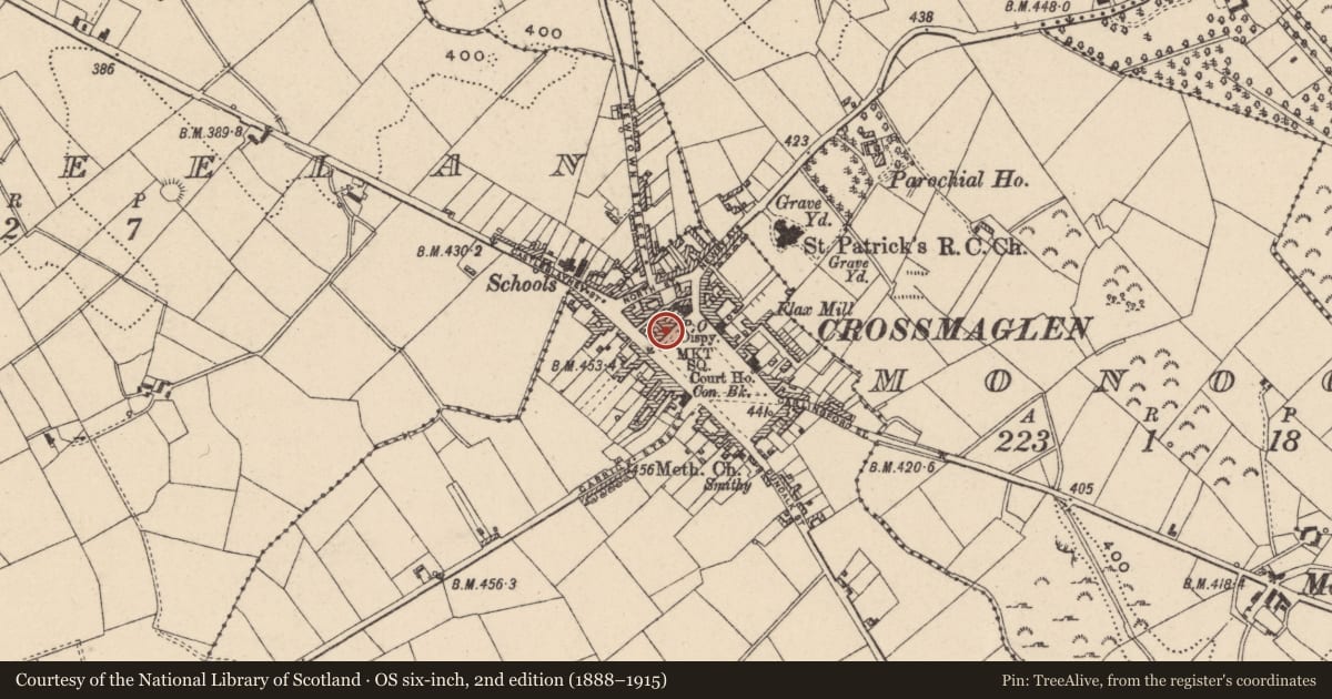 Ordnance Survey six-inch map, 2nd edition (1888–1915) covering the location of Loane's Drapery, Crossmaglen, Newry, Mourne and Down, with a pin at the register's coordinates