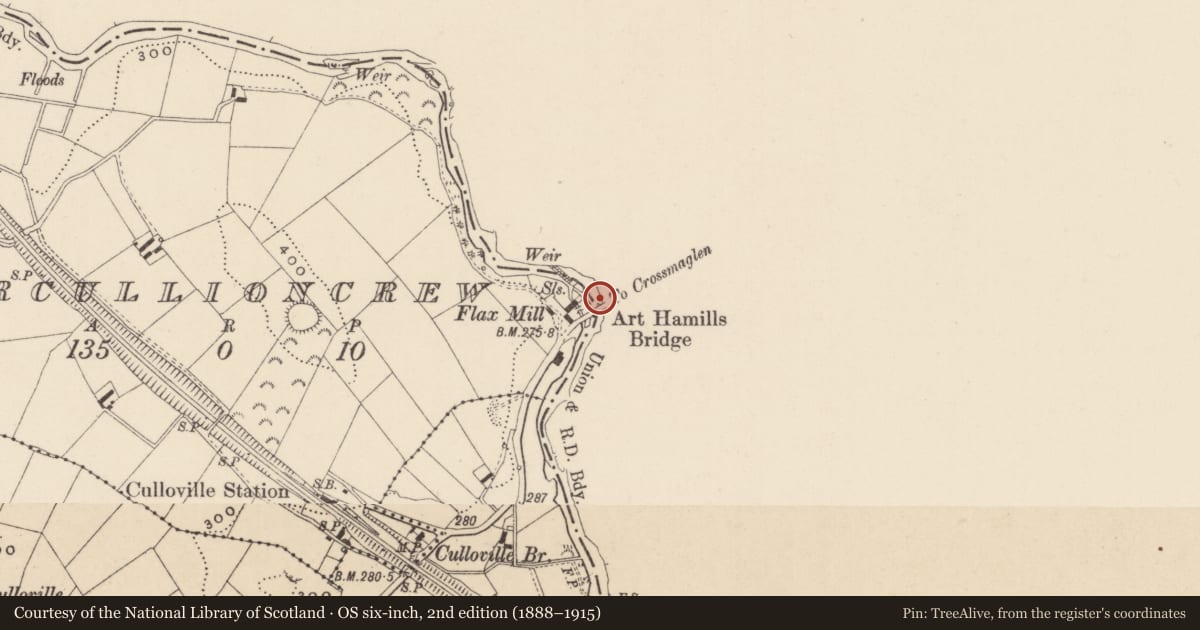 Ordnance Survey six-inch map, 2nd edition (1888–1915) covering the location of Art Hamill'S Bridge, Newry, Mourne and Down, with a pin at the register's coordinates