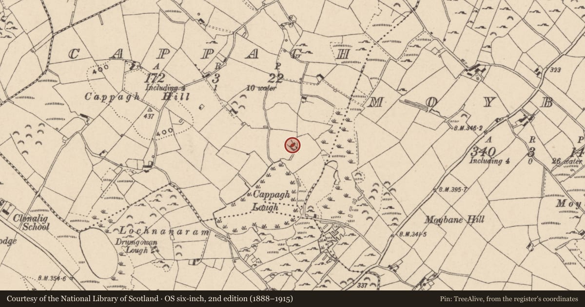 Ordnance Survey six-inch map, 2nd edition (1888–1915) covering the location of 43 Foxfield Road, Newry, Mourne and Down, with a pin at the register's coordinates