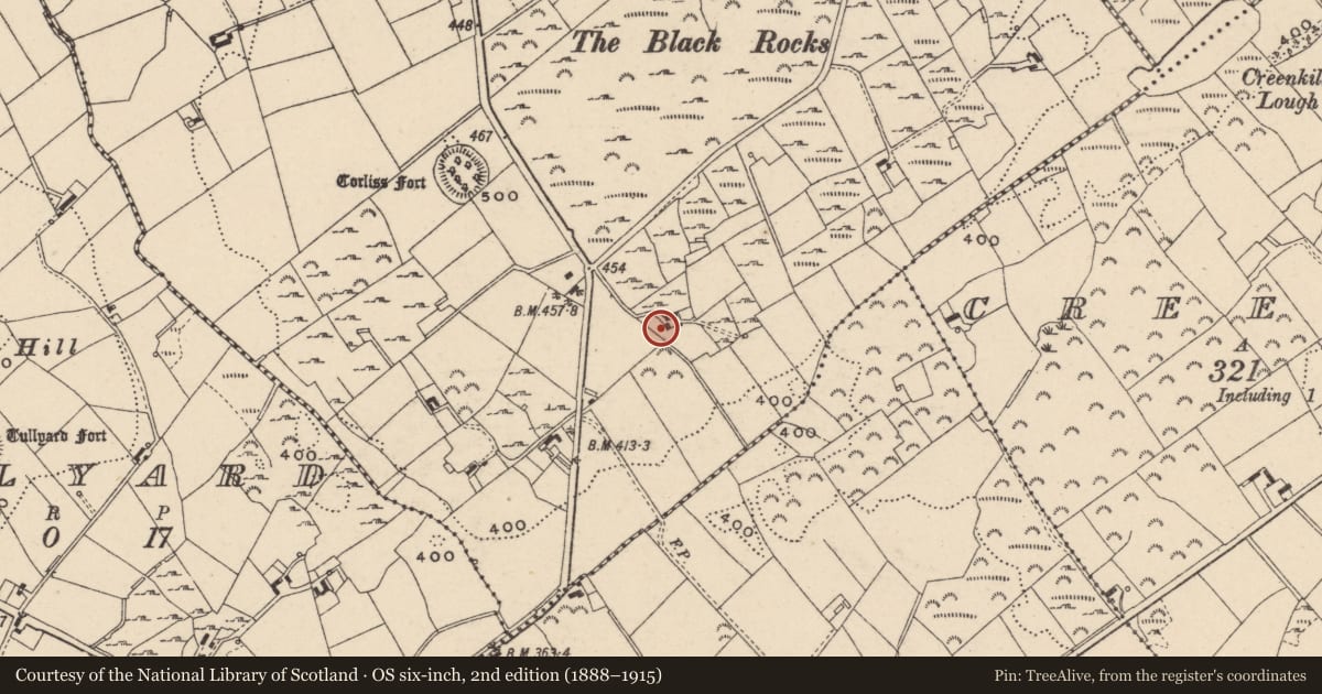 Ordnance Survey six-inch map, 2nd edition (1888–1915) covering the location of 3 Corliss Road Corliss Crossmaglen Co. Armagh BT35 9AY, Newry, Mourne and Down, with a pin at the register's coordinates