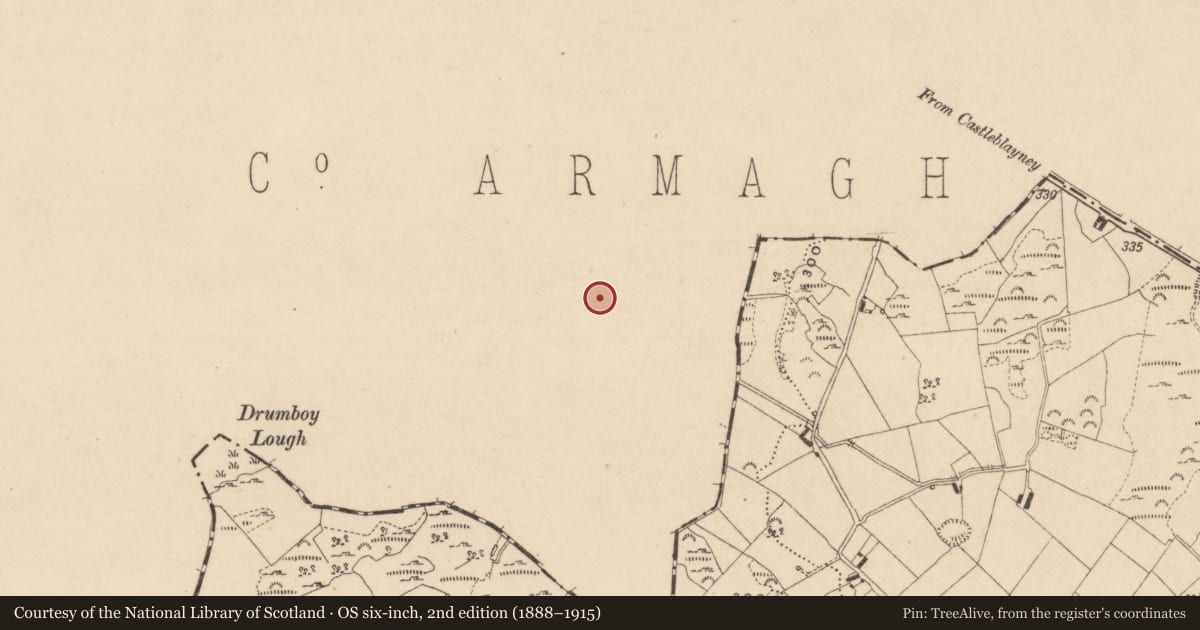 Ordnance Survey six-inch map, 2nd edition (1888–1915) covering the location of Cottage Adj to 203 Concession Road Crossmaglen Newry Co. Armagh BT35 9JD, Clonalig, Newry, Mourne and Down, with a pin at the register's coordinates