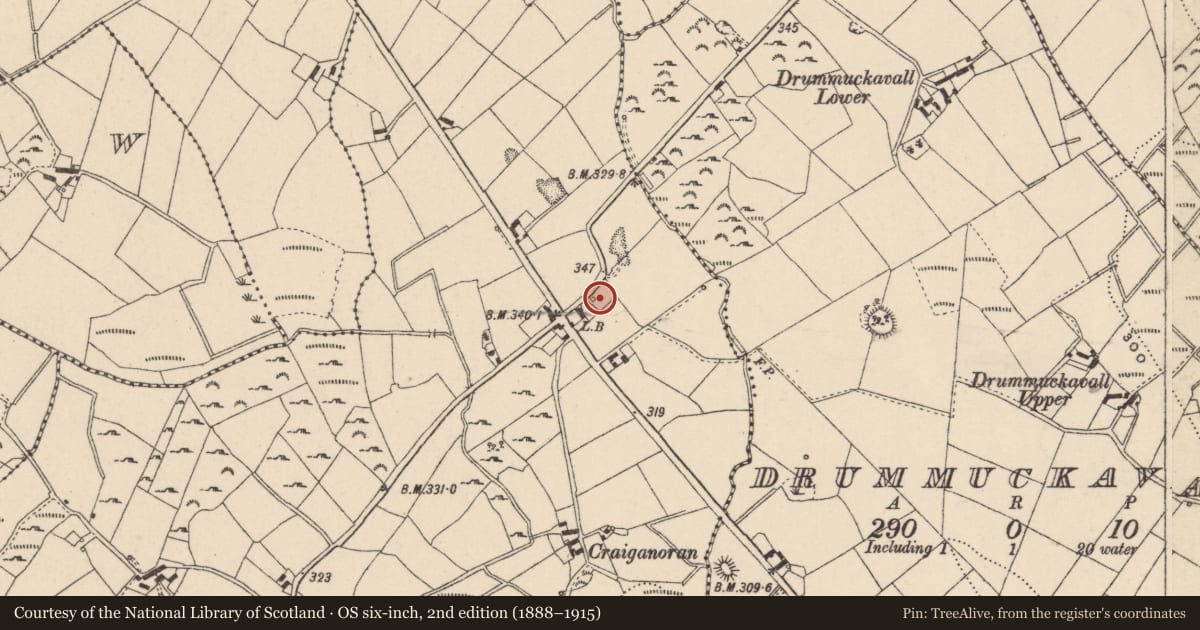 Ordnance Survey six-inch map, 2nd edition (1888–1915) covering the location of Ball Alley, Moybane, Newry, Mourne and Down, with a pin at the register's coordinates