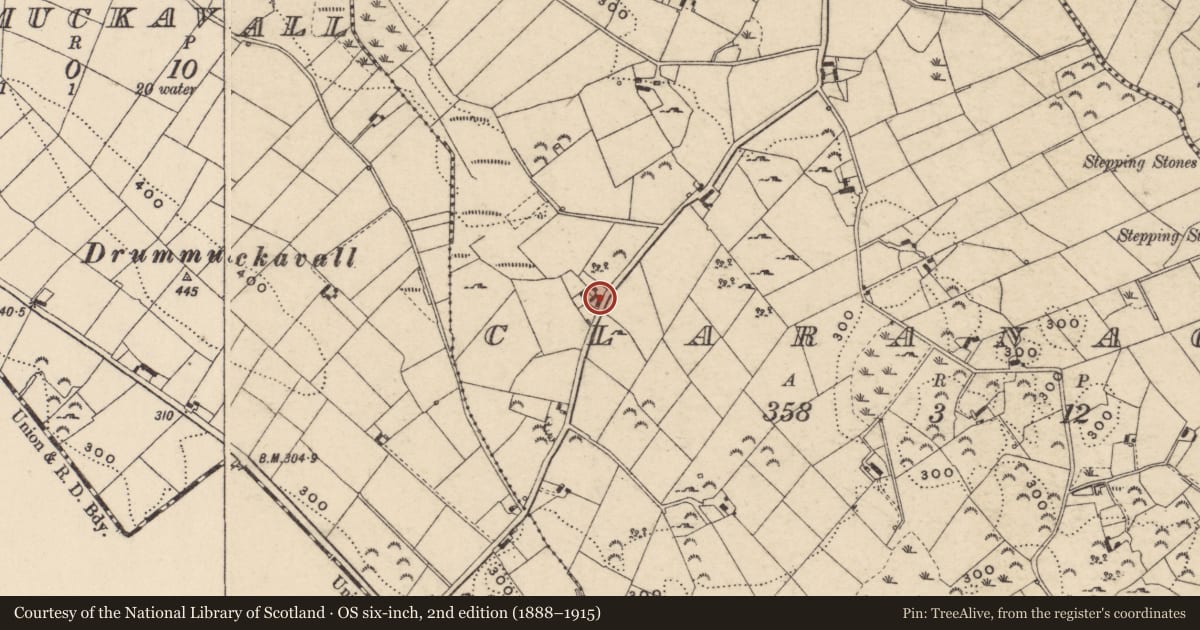 Ordnance Survey six-inch map, 2nd edition (1888–1915) covering the location of 39 Liscalgot Road Crossmaglen Co. Armagh BT35 9HX, Claranagh, Newry, Mourne and Down, with a pin at the register's coordinates