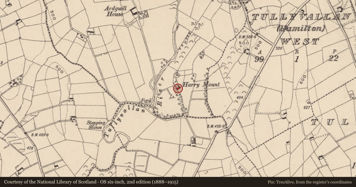 Ordnance Survey six-inch map, 2nd edition (1888–1915) covering the location of Harrymount House Tullyvallen West Road Newtownhamilton Co Armagh BT35 0BU, Tullyvallan, Newry, Mourne and Down, with a pin at the register's coordinates