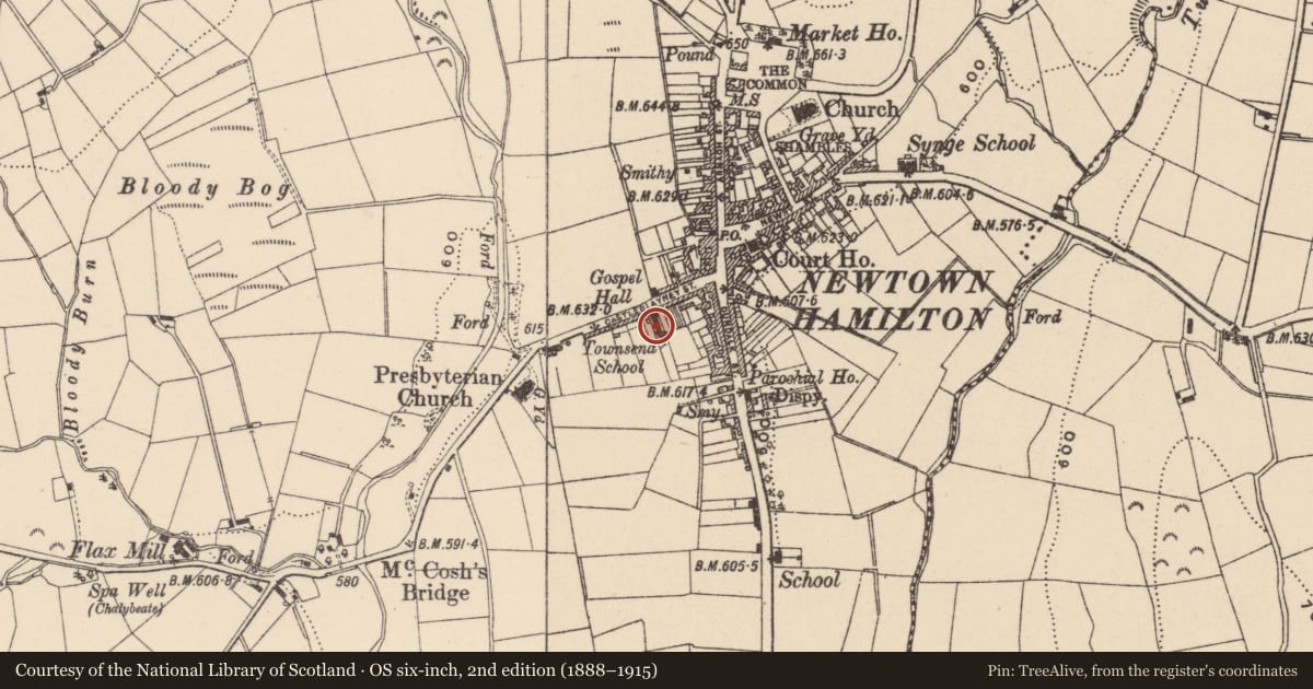 Ordnance Survey six-inch map, 2nd edition (1888–1915) covering the location of Townsend National School, Newry, Mourne and Down, with a pin at the register's coordinates