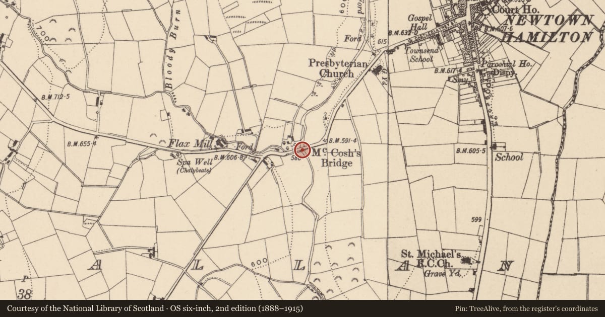 Ordnance Survey six-inch map, 2nd edition (1888–1915) covering the location of Mc Cosh'S Bridge, Newry, Mourne and Down, with a pin at the register's coordinates