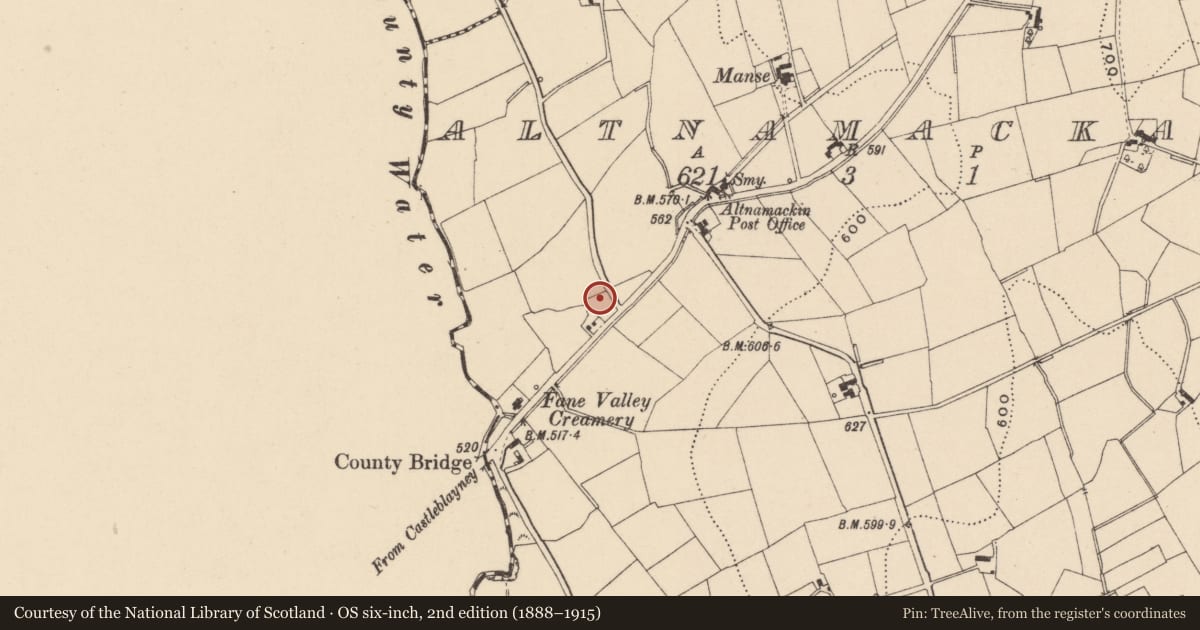 Ordnance Survey six-inch map, 2nd edition (1888–1915) covering the location of 95 Aughnagurgan Road, Newtownhamilton, Co Armagh BT35 0EB, Altnamackan, Newry, Mourne and Down, with a pin at the register's coordinates