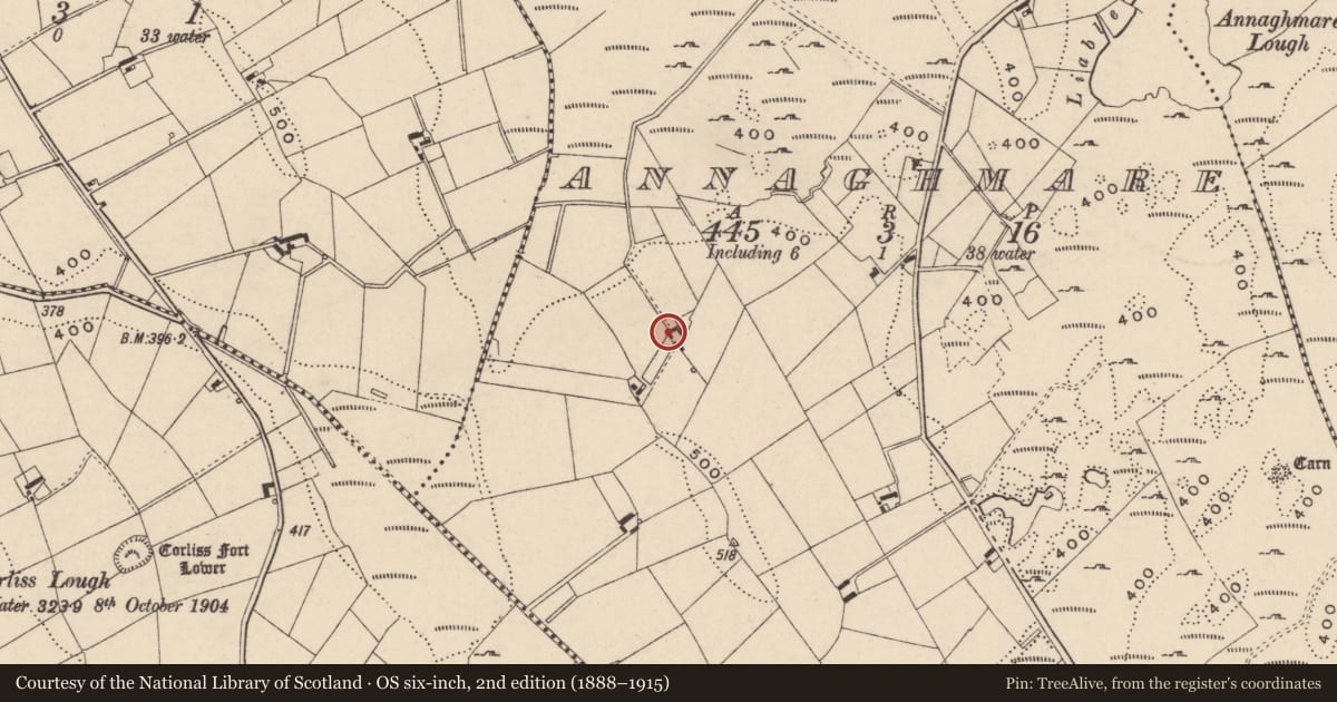 Ordnance Survey six-inch map, 2nd edition (1888–1915) covering the location of 50 Annaghmare Road Crossmaglen BT35 9BG, Newry, Mourne and Down, with a pin at the register's coordinates