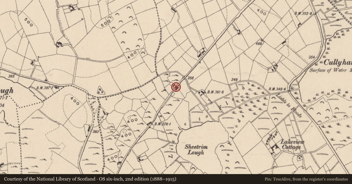 Ordnance Survey six-inch map, 2nd edition (1888–1915) covering the location of 46 Sheetrim Road Sheetrim Newtownhamilton Co. Armagh BT35 0LP, Newry, Mourne and Down, with a pin at the register's coordinates