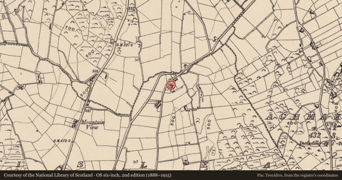 Ordnance Survey six-inch map, 2nd edition (1888–1915) covering the location of 4 Milltown Road, Lislea, Newry, Mourne and Down, with a pin at the register's coordinates