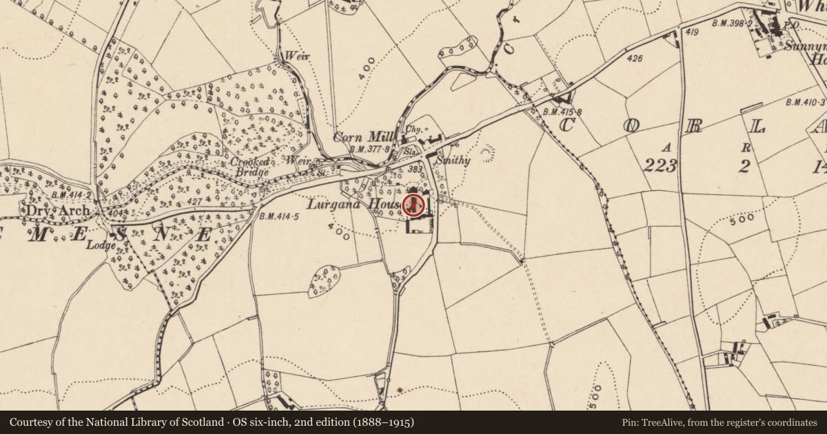Ordnance Survey six-inch map, 2nd edition (1888–1915) covering the location of Lurgana House, Newry, Mourne and Down, with a pin at the register's coordinates