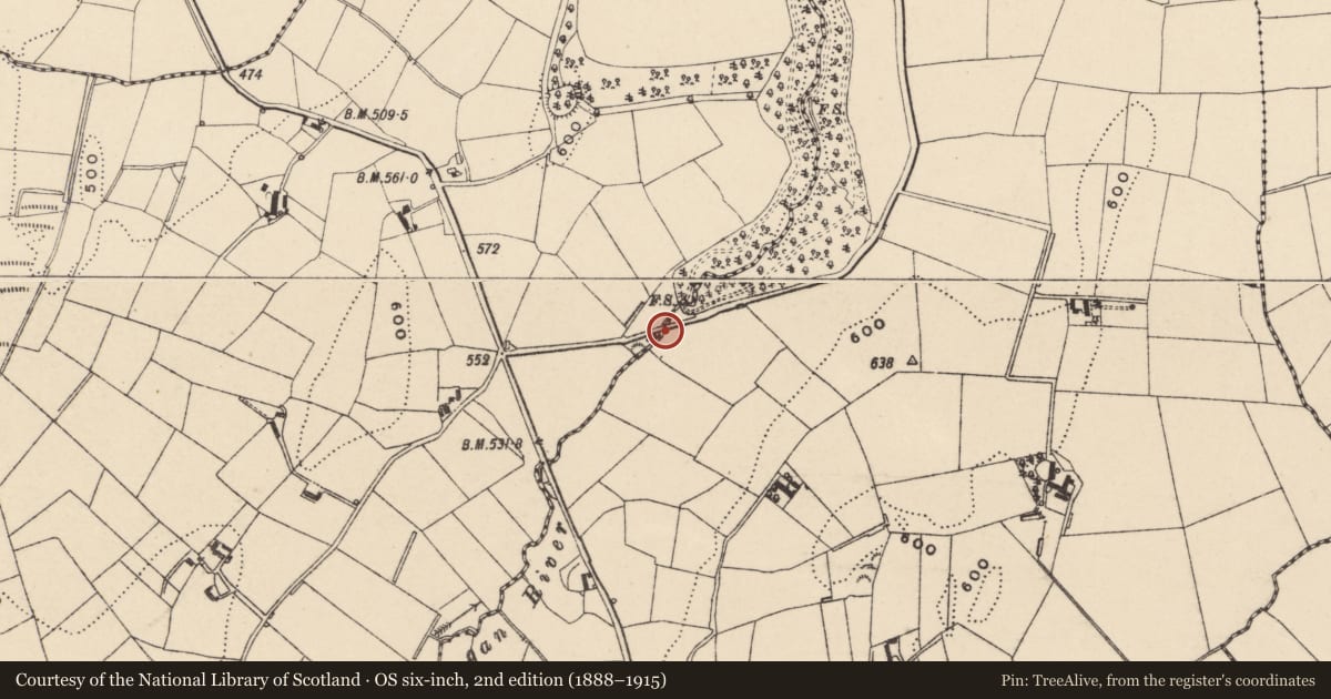 Ordnance Survey six-inch map, 2nd edition (1888–1915) covering the location of Bridge 1, Newry, Mourne and Down, with a pin at the register's coordinates