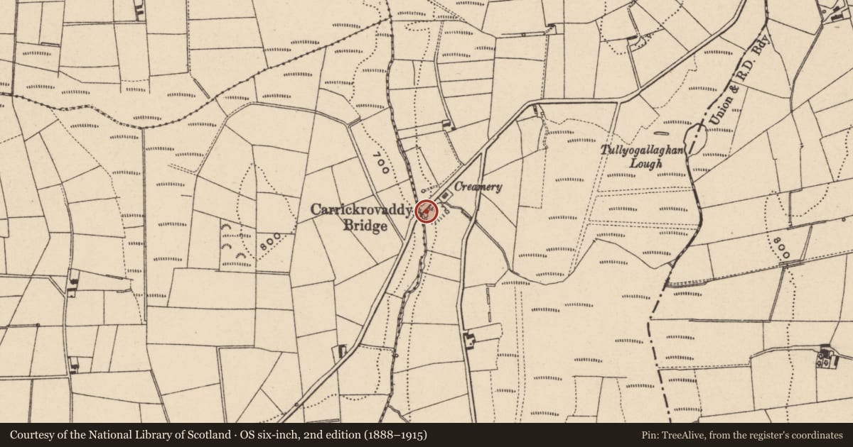 Ordnance Survey six-inch map, 2nd edition (1888–1915) covering the location of Carrickrovaddy Bridge, Newry, Mourne and Down, with a pin at the register's coordinates