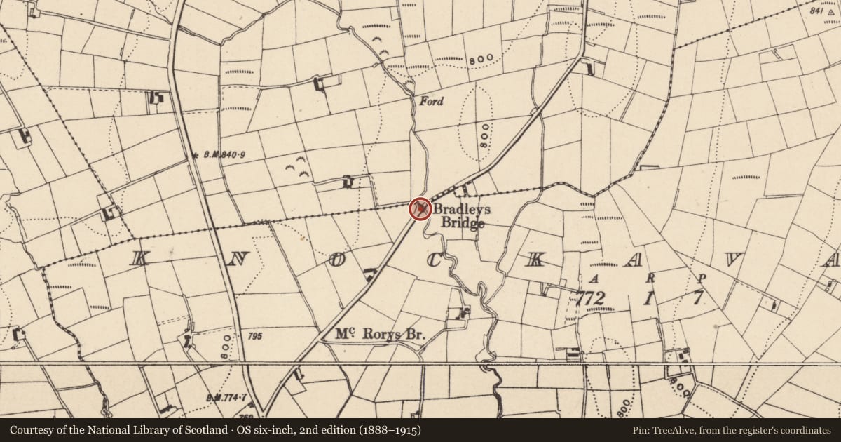 Ordnance Survey six-inch map, 2nd edition (1888–1915) covering the location of Bradley's Bridge, Newry, Mourne and Down, with a pin at the register's coordinates