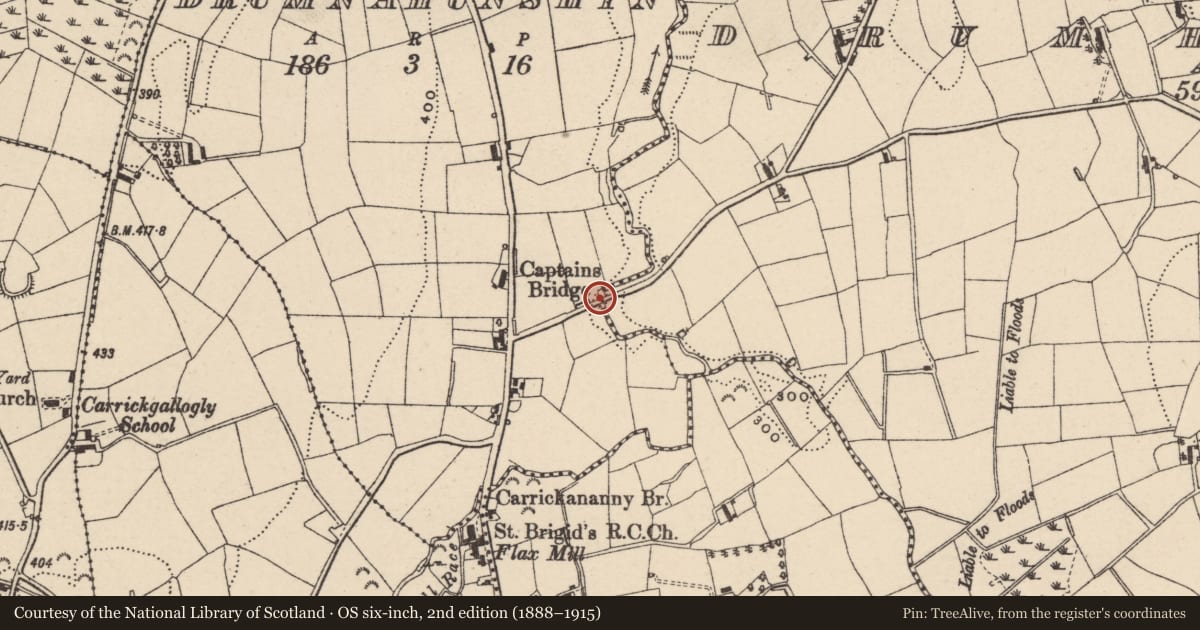 Ordnance Survey six-inch map, 2nd edition (1888–1915) covering the location of Captain's Bridge, Newry, Mourne and Down, with a pin at the register's coordinates