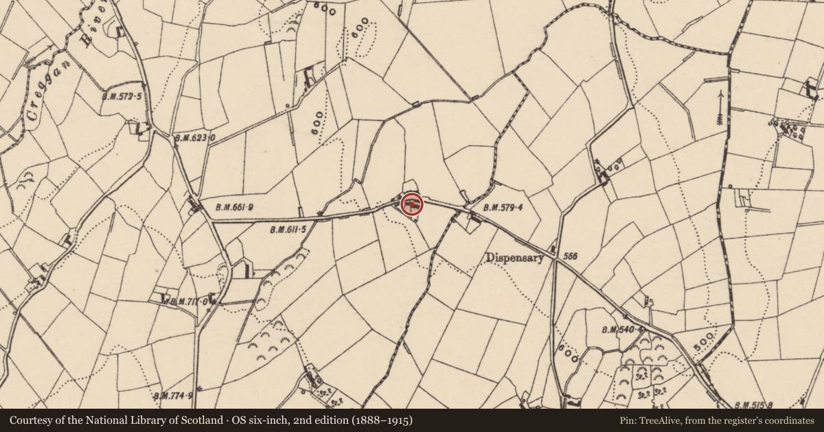 Ordnance Survey six-inch map, 2nd edition (1888–1915) covering the location of 73 Carrickgallogly Road, Cavanakill, Newry, Mourne and Down, with a pin at the register's coordinates