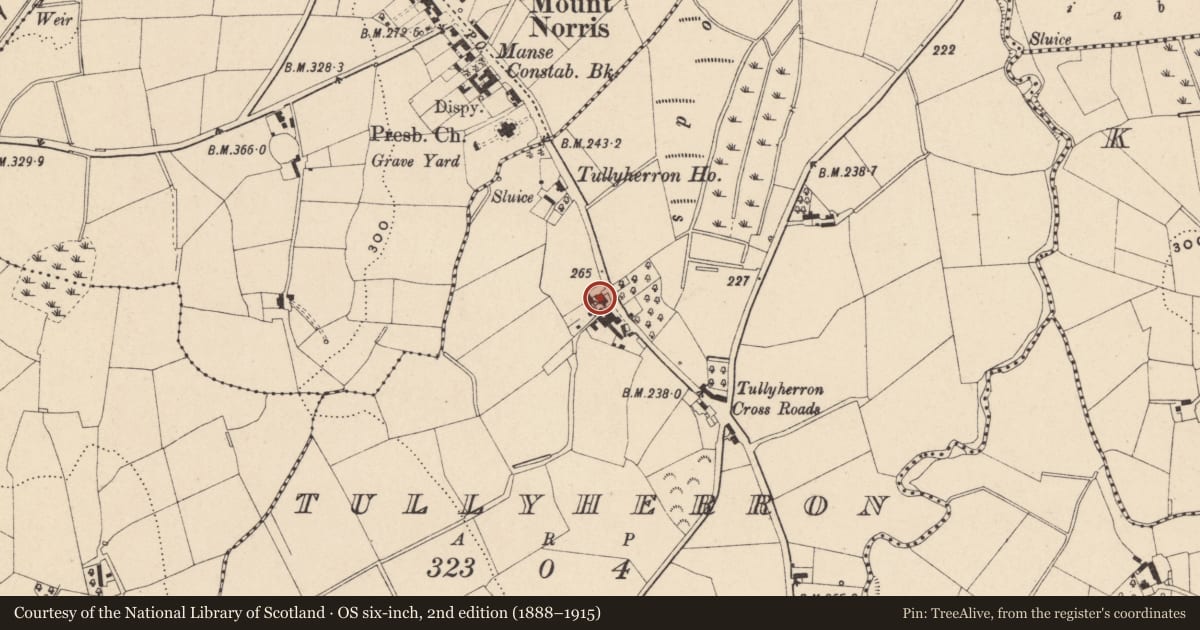 Ordnance Survey six-inch map, 2nd edition (1888–1915) covering the location of Dwelling & Outbuildings, TULLYHERRON, Newry and Mourne, with a pin at the register's coordinates