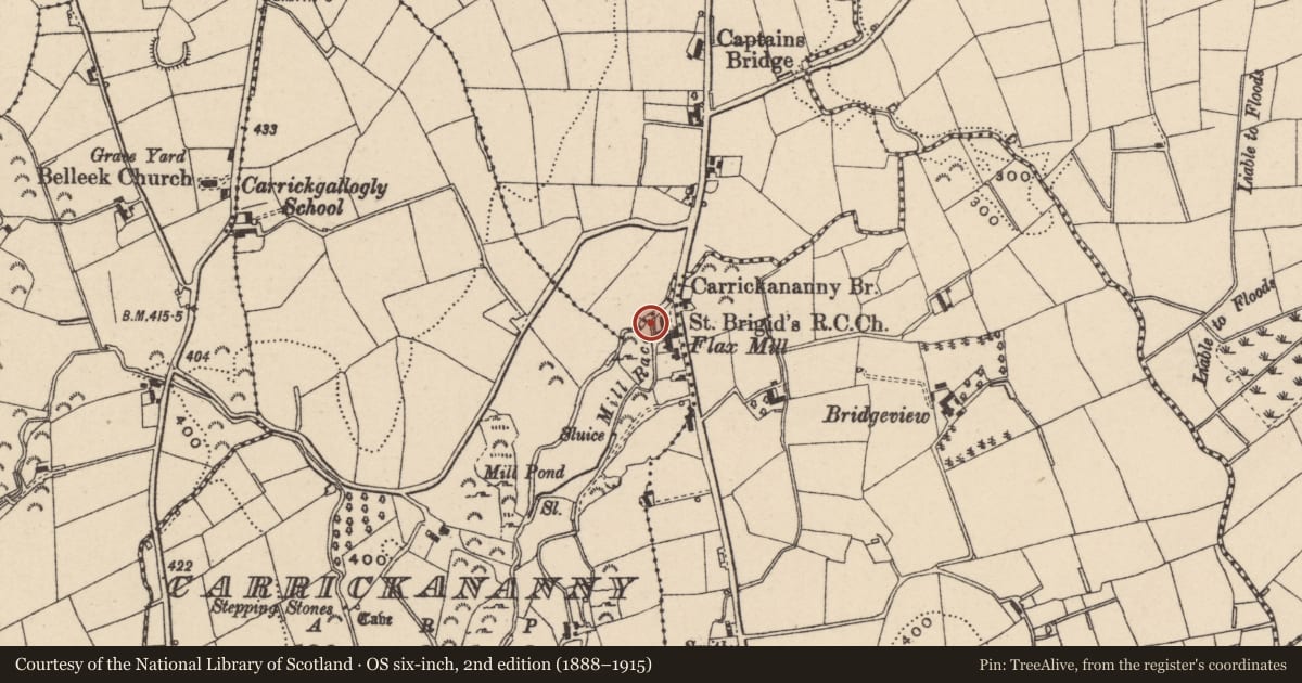 Ordnance Survey six-inch map, 2nd edition (1888–1915) covering the location of St. Brigid's RC Church, with a pin at the register's coordinates