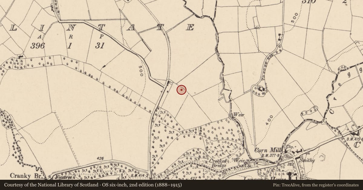 Ordnance Survey six-inch map, 2nd edition (1888–1915) covering the location of 24 Ballintate Road, Newry, Mourne and Down, with a pin at the register's coordinates