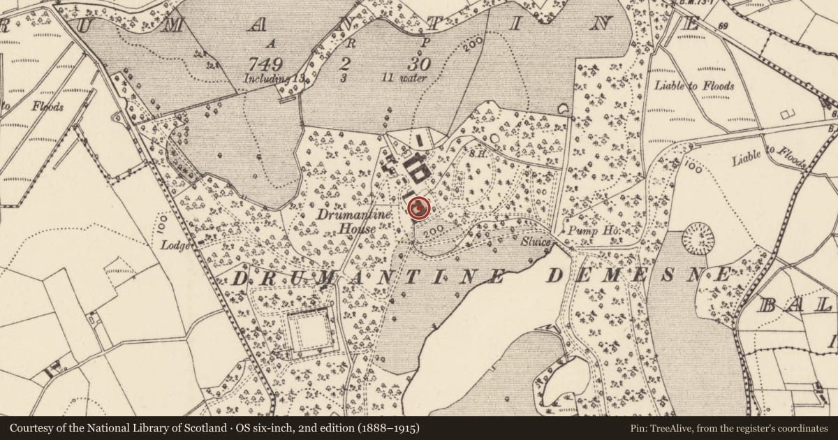 Ordnance Survey six-inch map, 2nd edition (1888–1915) covering the location of Dromantine College, Newry, Mourne and Down, with a pin at the register's coordinates
