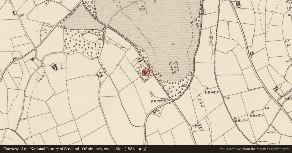 Ordnance Survey six-inch map, 2nd edition (1888–1915) covering the location of 4 Drumantine Road, Newry, Mourne and Down, with a pin at the register's coordinates