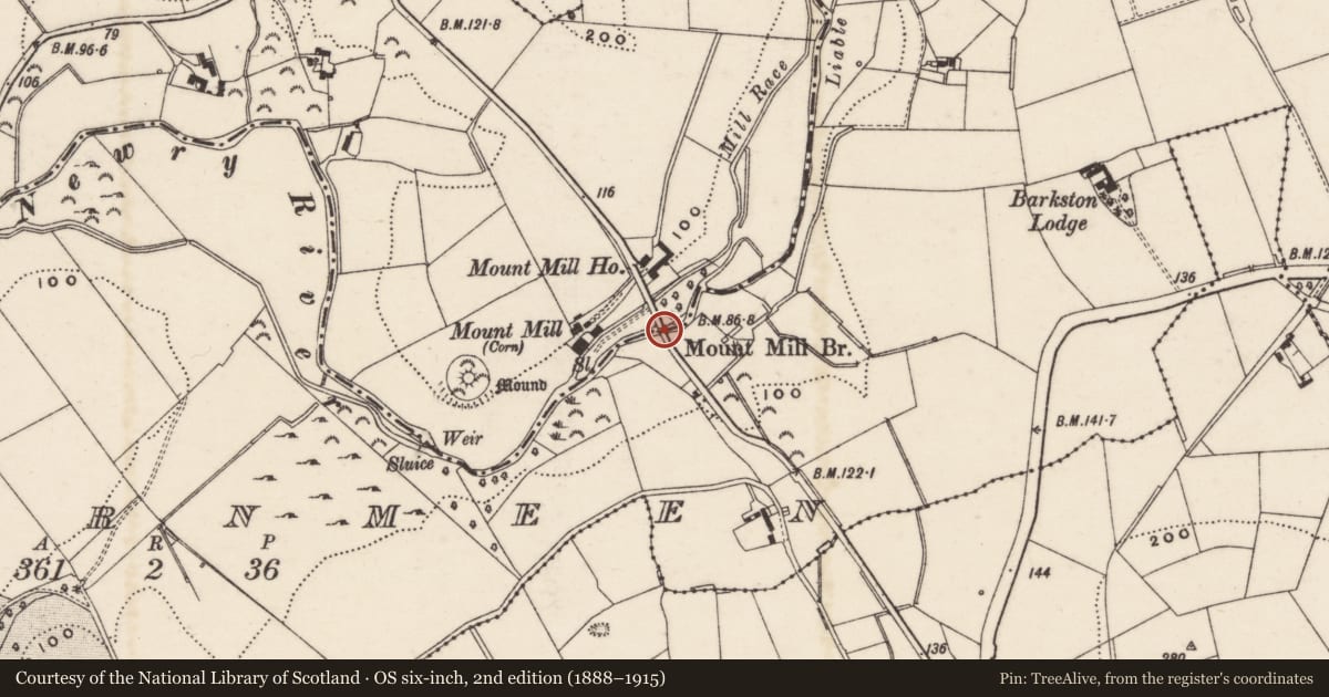 Ordnance Survey six-inch map, 2nd edition (1888–1915) covering the location of Mount Mill Bridge Glen Road Drummiller Newry Co. Down BT34 1QS, Drummiller/Carnmeen, Newry, Mourne and Down, with a pin at the register's coordinates