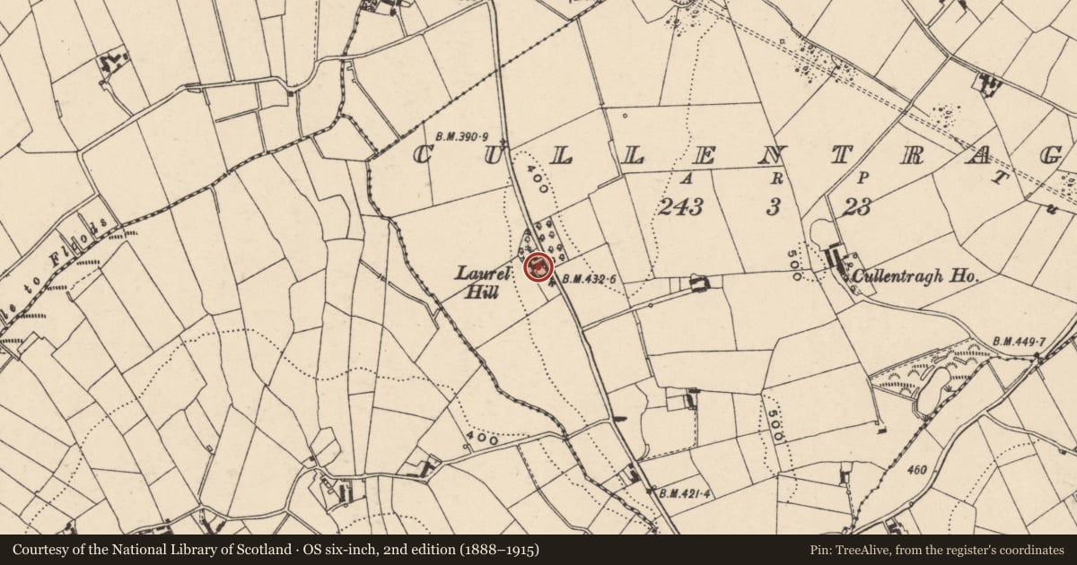 Ordnance Survey six-inch map, 2nd edition (1888–1915) covering the location of Laurel Hill, Cullentragh, Newry, Mourne and Down, with a pin at the register's coordinates