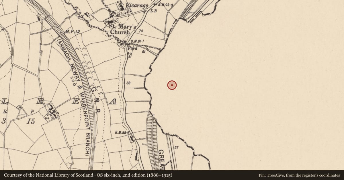 Ordnance Survey six-inch map, 2nd edition (1888–1915) covering the location of Lock on Former Newry Canal, Newry, Mourne and Down, with a pin at the register's coordinates
