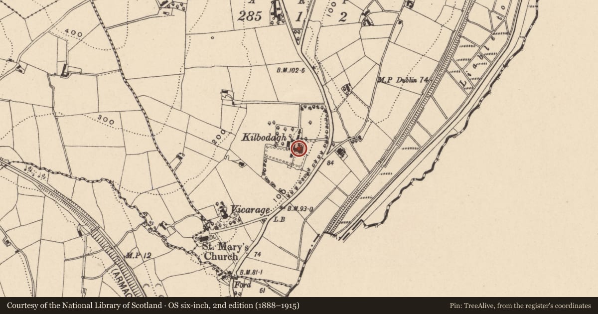 Ordnance Survey six-inch map, 2nd edition (1888–1915) covering the location of KILBODAGH, Newry, Mourne and Down, with a pin at the register's coordinates